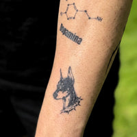 Doberman