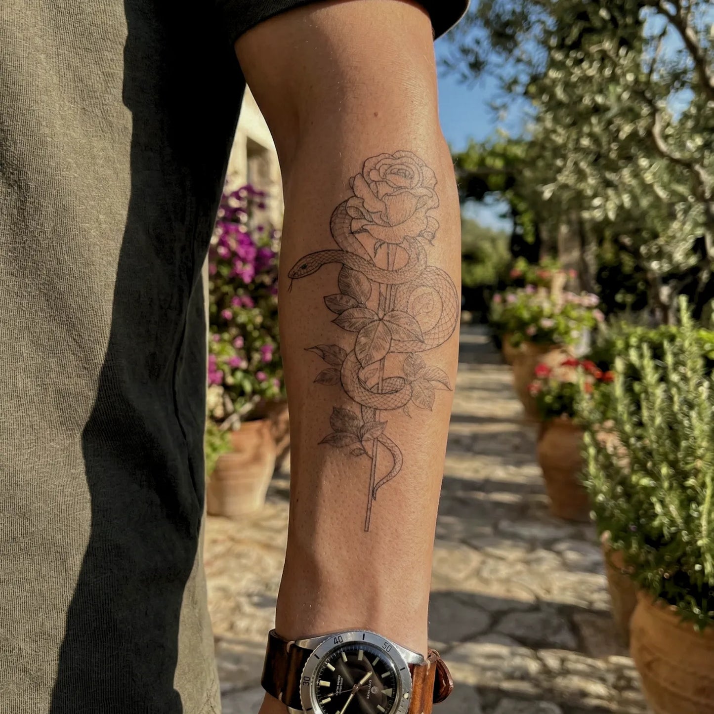 Schlange &amp; Rose