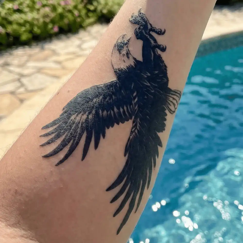 Hochfliegender Adler