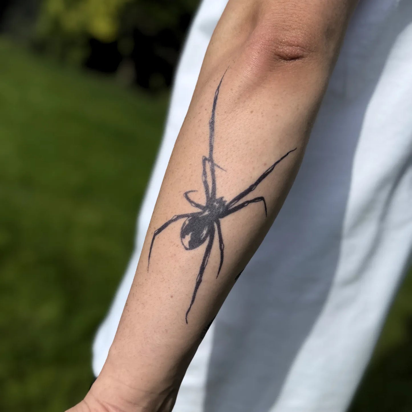 Kriechende Spinne